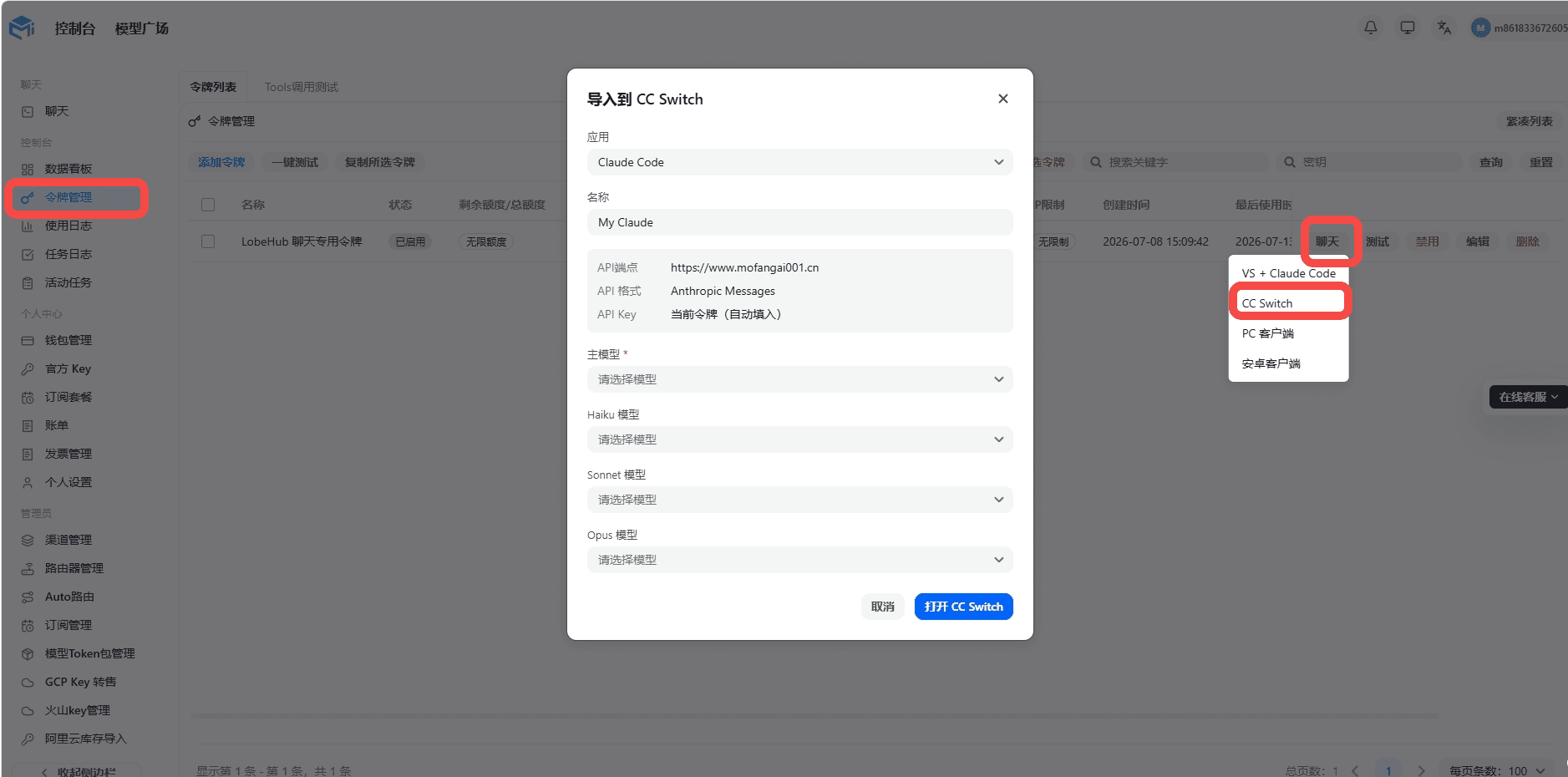 填入 CC Switch 弹窗