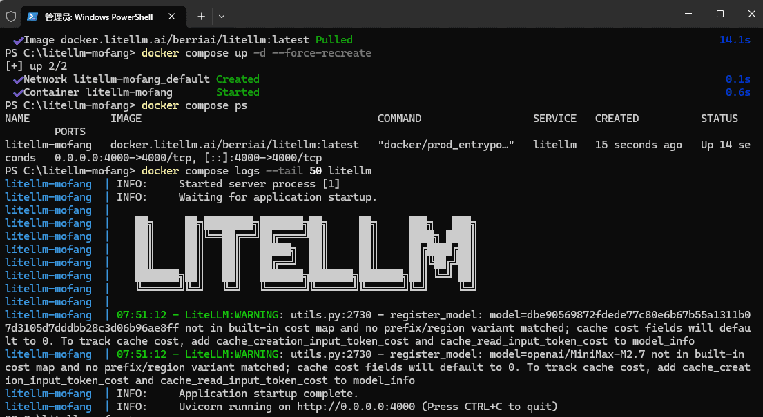 LiteLLM 容器重建及环境变量检查